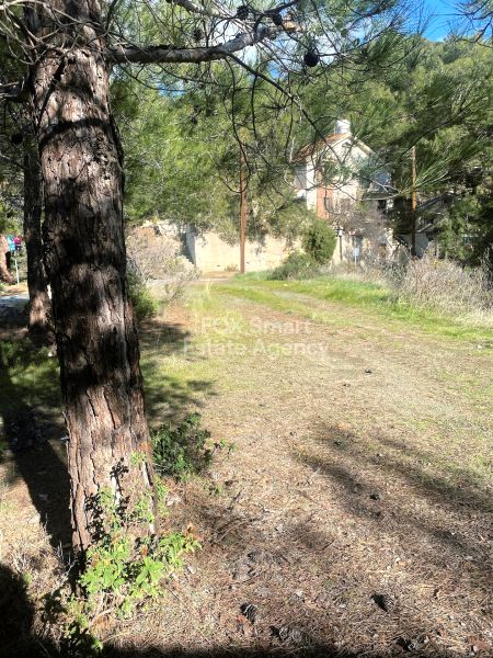 קרקע למגורים למכירה