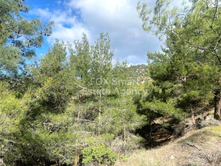 קרקע למגורים למכירה