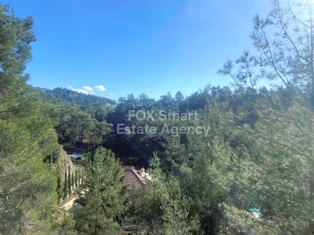 קרקע למגורים למכירה