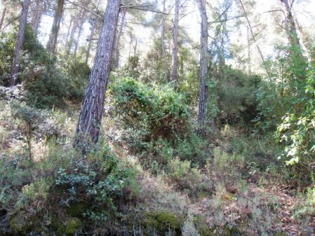Terreno Rural en venta