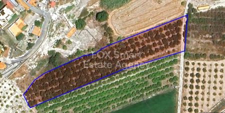 Thumbnail 1 Rural Land For Sale In Cyprus
