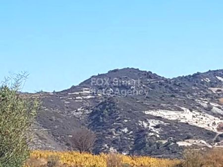 Thumbnail 1 Terreno En Venta Chipre