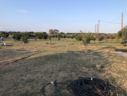 Αγροτεμάχιο προς πώληση