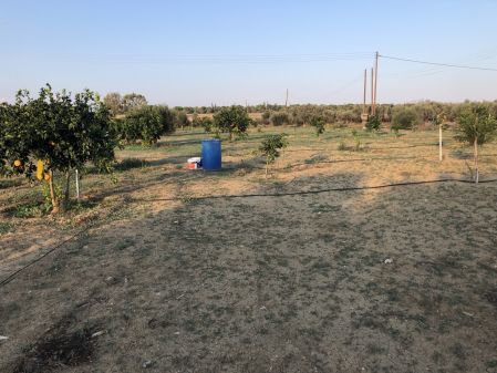 Αγροτεμάχιο προς πώληση