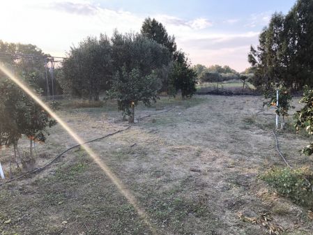 Αγροτεμάχιο προς πώληση