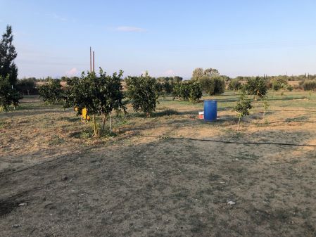 Αγροτεμάχιο προς πώληση