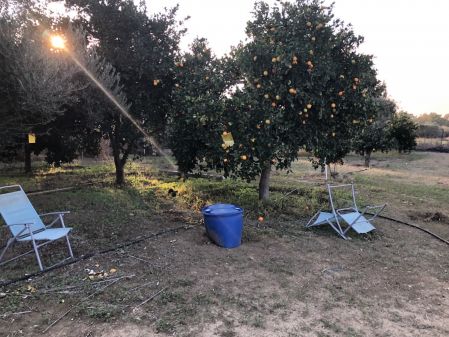 Αγροτεμάχιο προς πώληση