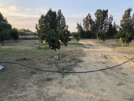 Αγροτεμάχιο προς πώληση