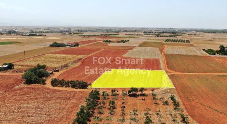 Terreni rurali in vendita