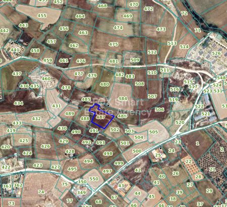 Terreni rurali in vendita