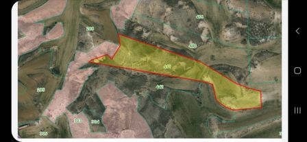 Pano Deftera, Nicosia