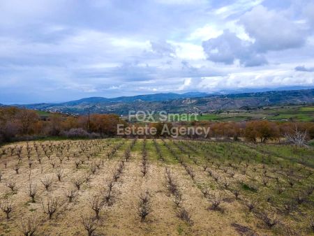 Terreno Rural en venta