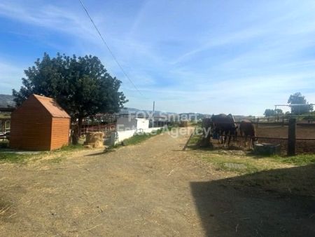 Αγροτεμάχιο προς πώληση