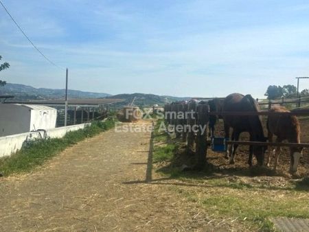 Αγροτεμάχιο προς πώληση