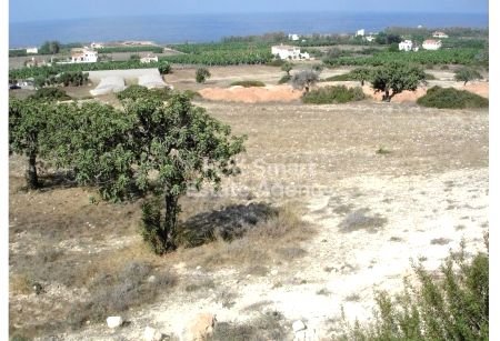 Terreni rurali in vendita