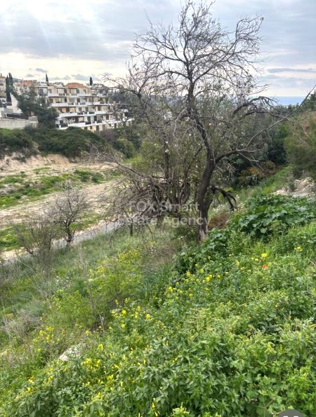 Сельские земли на продажу