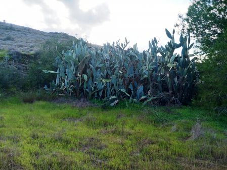 Terreno Rural en venta