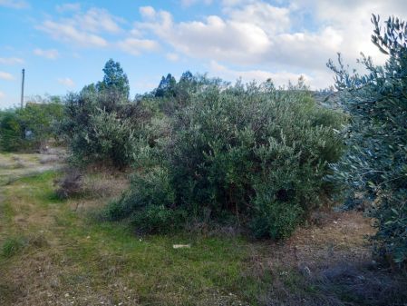 Terreno Rural en venta