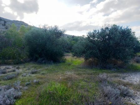 Terreno Rural en venta