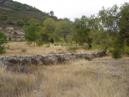 Terres rurales à vendre