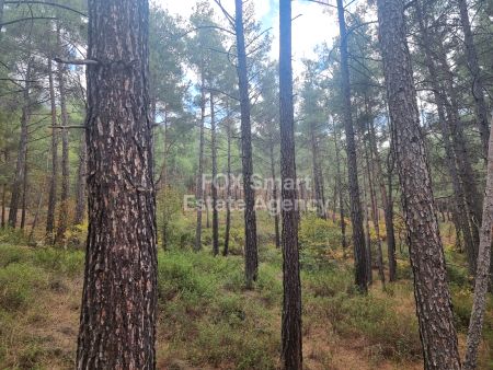 Terres rurales à vendre