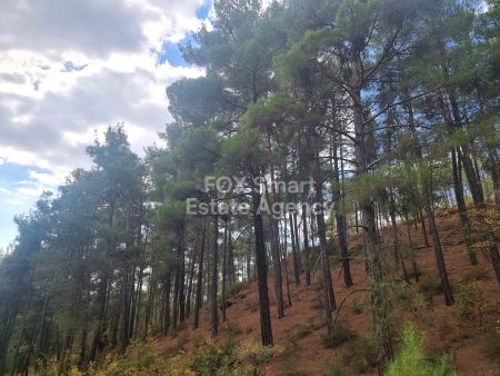 Terres rurales à vendre