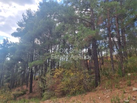 Terres rurales à vendre