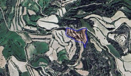 Сельские земли на продажу