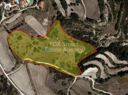 פולמי, פאפוס