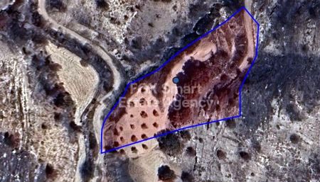 Полеми, Пафос