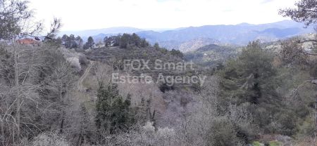 Wiejskie grunty na sprzedaż