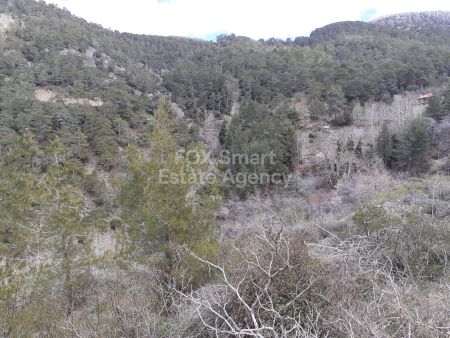 Wiejskie grunty na sprzedaż