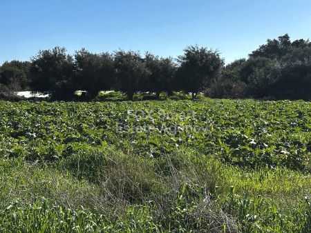 ארץ כפרית למכירה