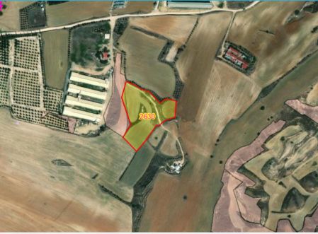 ארץ כפרית למכירה