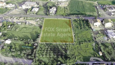 ארץ כפרית למכירה