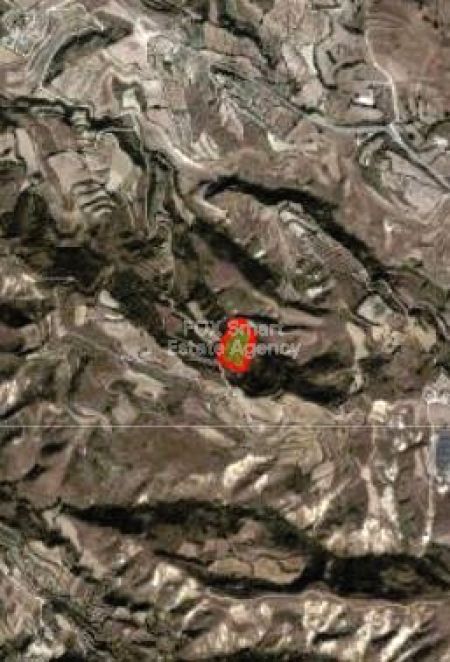 Terreni rurali in vendita