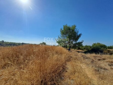 Terreno Residenziale in vendita