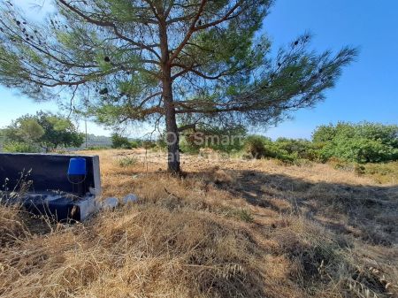 Terreno Residenziale in vendita