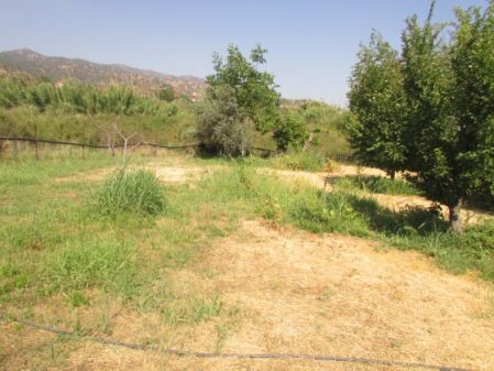 Terreno Rural en venta