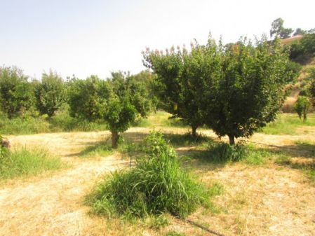 Terreno Rural en venta