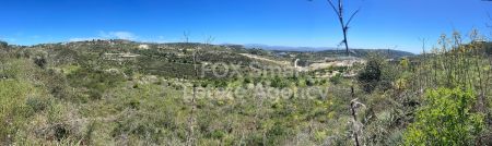 Αγροτεμάχιο προς πώληση