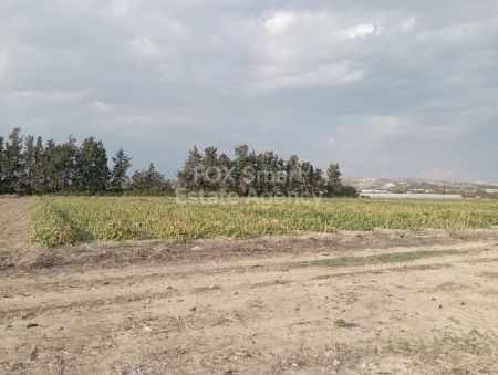 Сельские земли на продажу