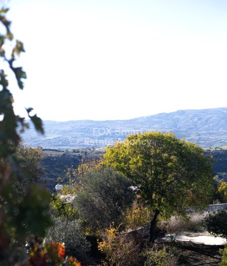 Thumbnail 2 הסיפור מאחורי מקום הולדתה של אפרודיטה