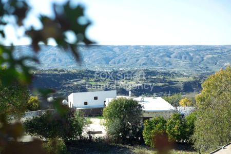 Thumbnail 1 הסיפור מאחורי מקום הולדתה של אפרודיטה