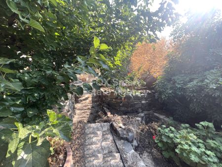 半独立式住宅出售