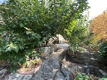 半独立式住宅出售