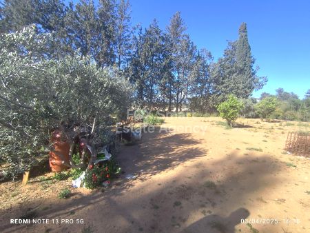 Almacén en alquiler