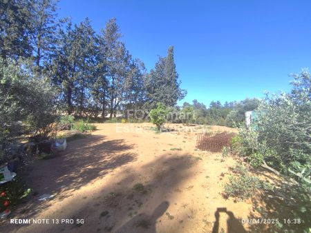 Almacén en alquiler